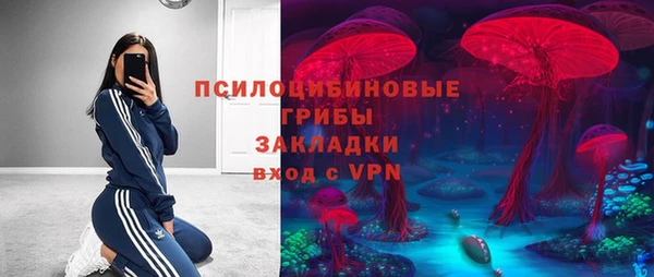 сатива Алексеевка