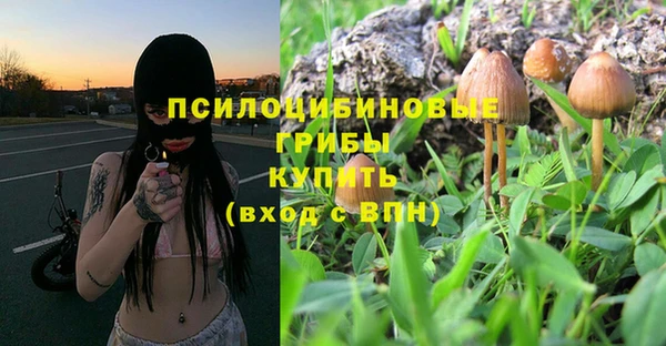 мет Алзамай