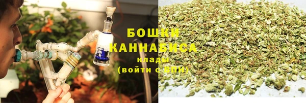 сатива Алексеевка