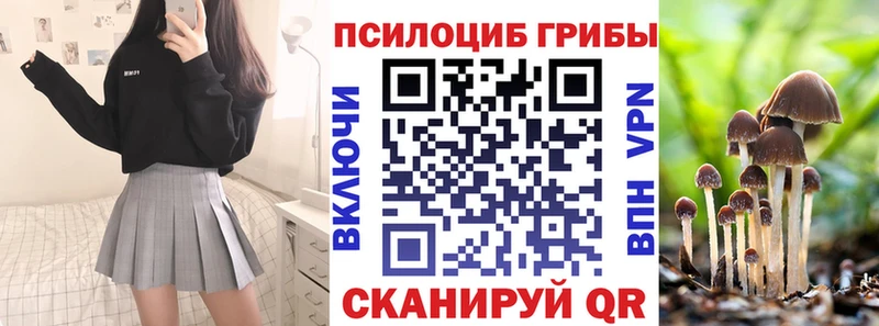 Псилоцибиновые грибы мухоморы  наркота  Красногорск 