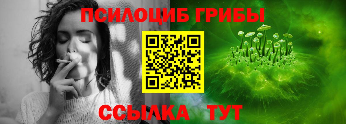 наркошоп  Галлюциногенные грибы MAGIC MUSHROOMS  Галлюциногенные грибы Psilocybe  Вход с VPN  Красногорск 