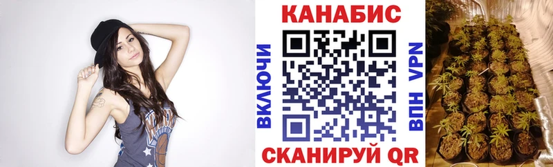 Каннабис OG Kush  Красногорск 